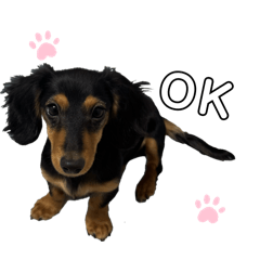 ちくわちゃんのすたんぷ