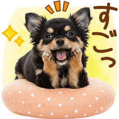 ゆるかわ！チワワの日常スタンプ
