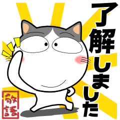 ハチワレ猫★ビジネス敬語
