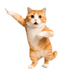 動く！リアル猫の日常4