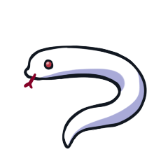 A hognose snake named Little Sausage