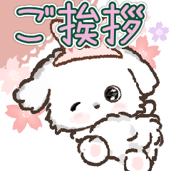 愛犬☆マルチーズのご挨拶♡春色