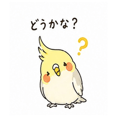 My Little Cockatiel 2