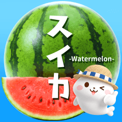 飛び出す♪スイカの詰め合わせ