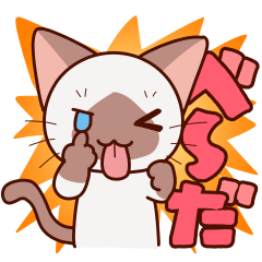 かまってシャムちゃん喧嘩中