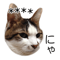 カスタムにゃんこ語 ご自由に