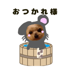 子年の着ぐるみを着たまめた