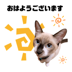 うちの子スタンプ☆むぎちゃん☆