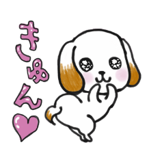 シーズーで愛情表現