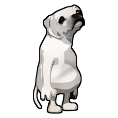 ハンサムドッグ