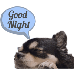 るいくんスタンプ02