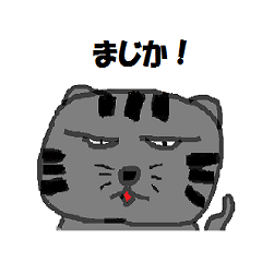 シュールなネコのレイちゃん