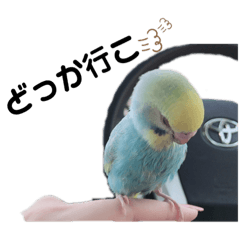 山本家のペットたち2