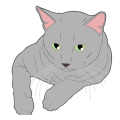 リアル系猫のご挨拶