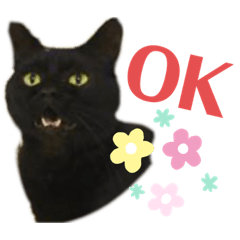 BASICりいたまん