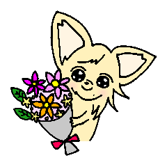 キダチワワの日常あいさつ２