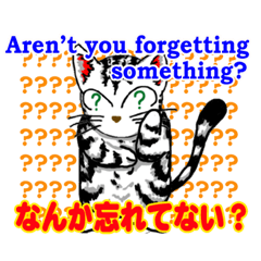 猫で英会話 よく使う英語編