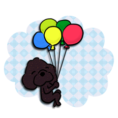 トイプードル もこもこのもこ10