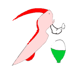 リュウグウノツカイのウグウグ