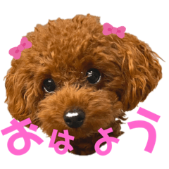 タラちゃんイクラちゃんとお友達