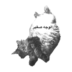 ちょこらのスタンプ