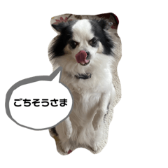 ラッキーのあいさつ