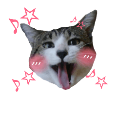 ベイ二朗とキララ2