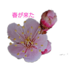 花のあふれる１日