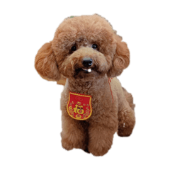 Willy_20210614201546