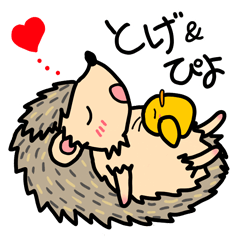 毎日とげちゃん２