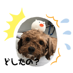 うにのスタンプ〜その3〜