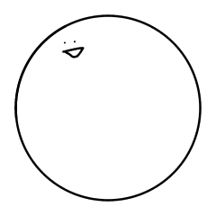 よく喋る白い生き物