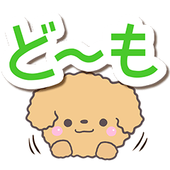 トイプードル「アプリコット」大文字