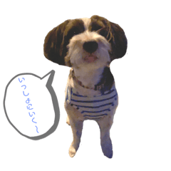 岩波小太郎くん