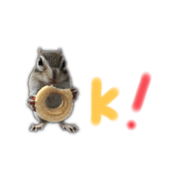 シマリスタンプ！