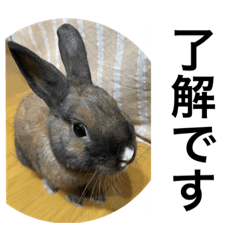 テテとぽん吉のスタンプ