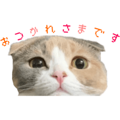 すずちゃんといっしょ2