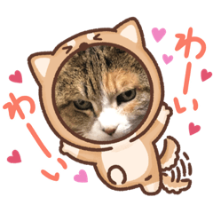 ねこっちスタンプ可愛い