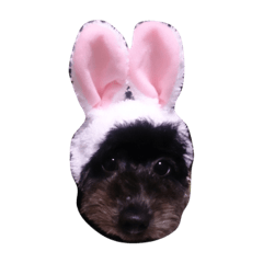 ラピちゃんスタンプ〜その2