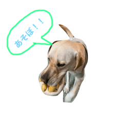 スタンプリン！！