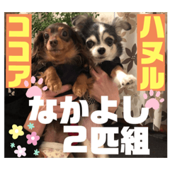 ハヌル店長のほんわか日常2