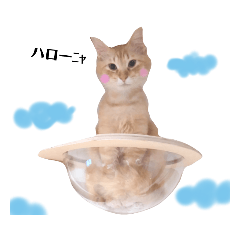 可愛いニャンコズPonreo