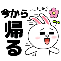 コニー☆家族で毎日使える‎！