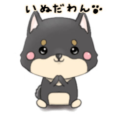 黒柴  いぬだわん