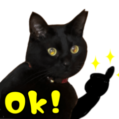 関西弁　日常会話　黒猫　大きい文字