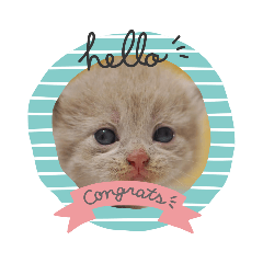 molly_20220720103611