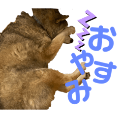 ころちゃんのスタンプ！