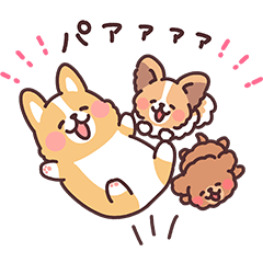 まるまるコーギー24 わんわんパーティー