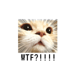 Joanna_20221027113553