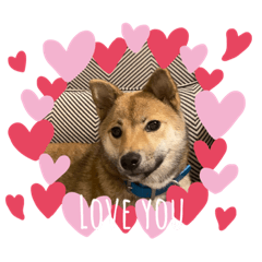 りりぼうの日常